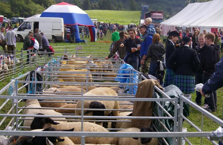 Medium large august lochaber show 09 pentax 039
