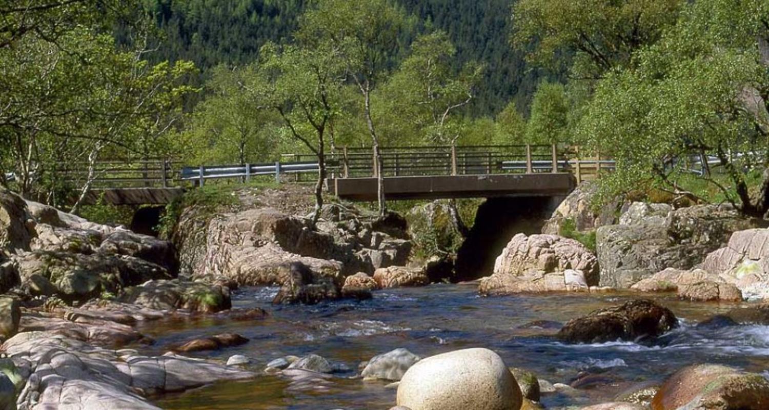 The bridge over the Lower Falls