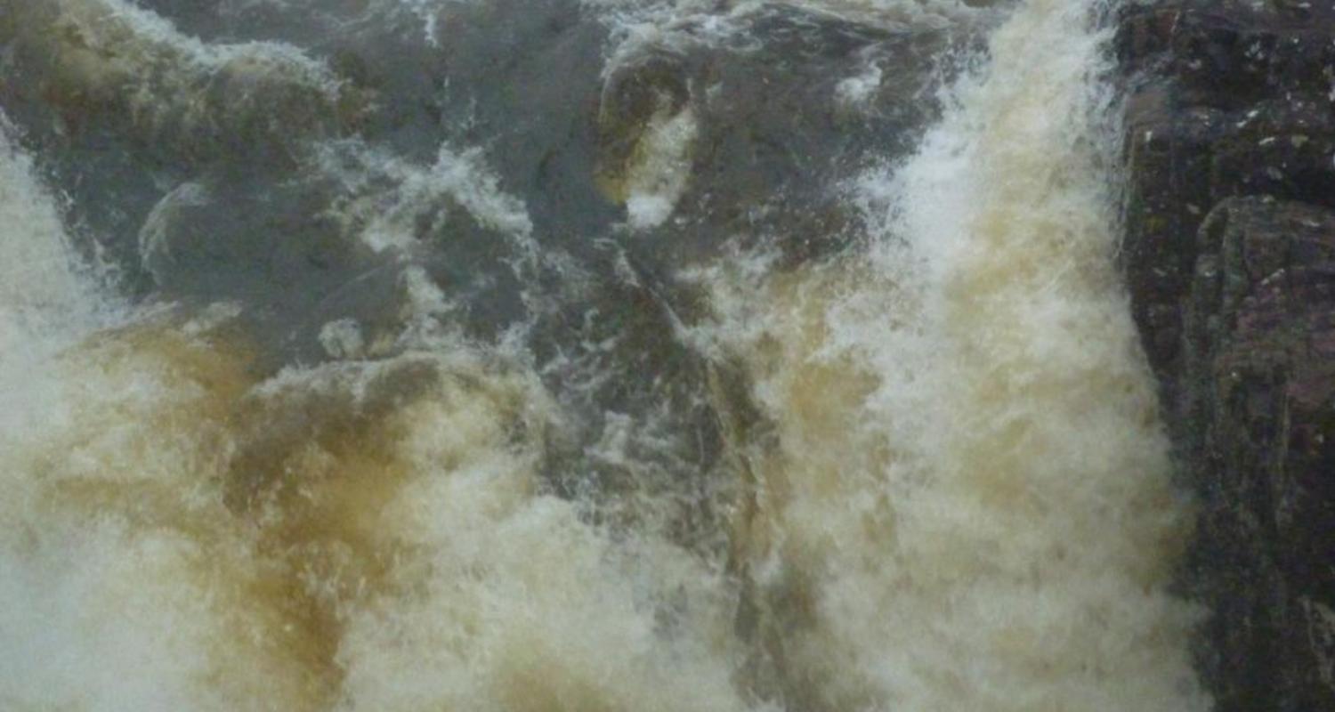 p1000084.jpg