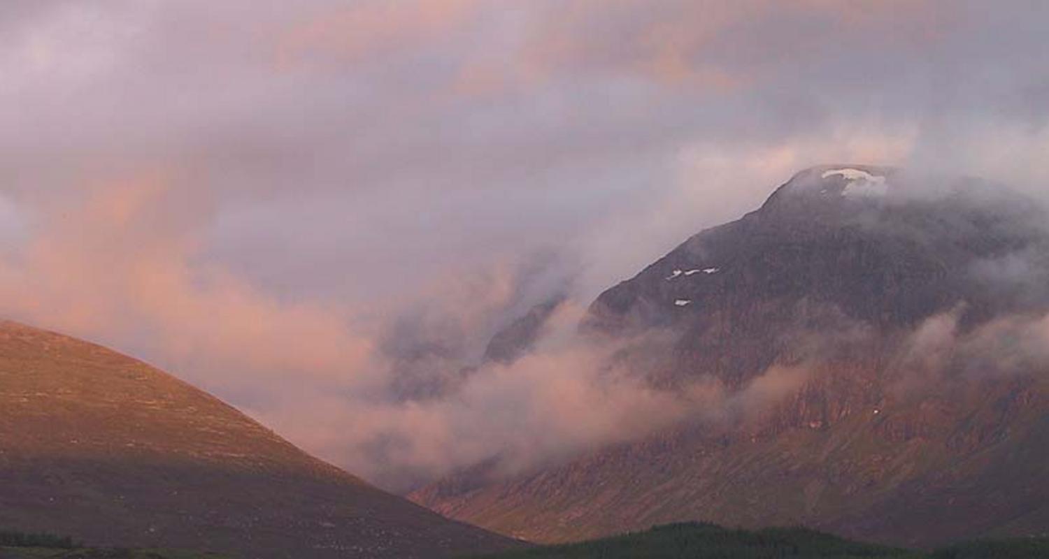 Mid Summer Mist