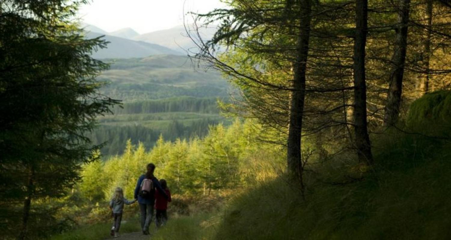 Forest walks